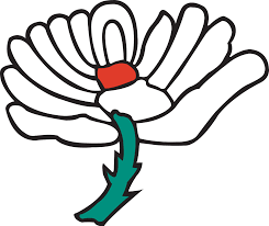 Yorkshire C.C.C.